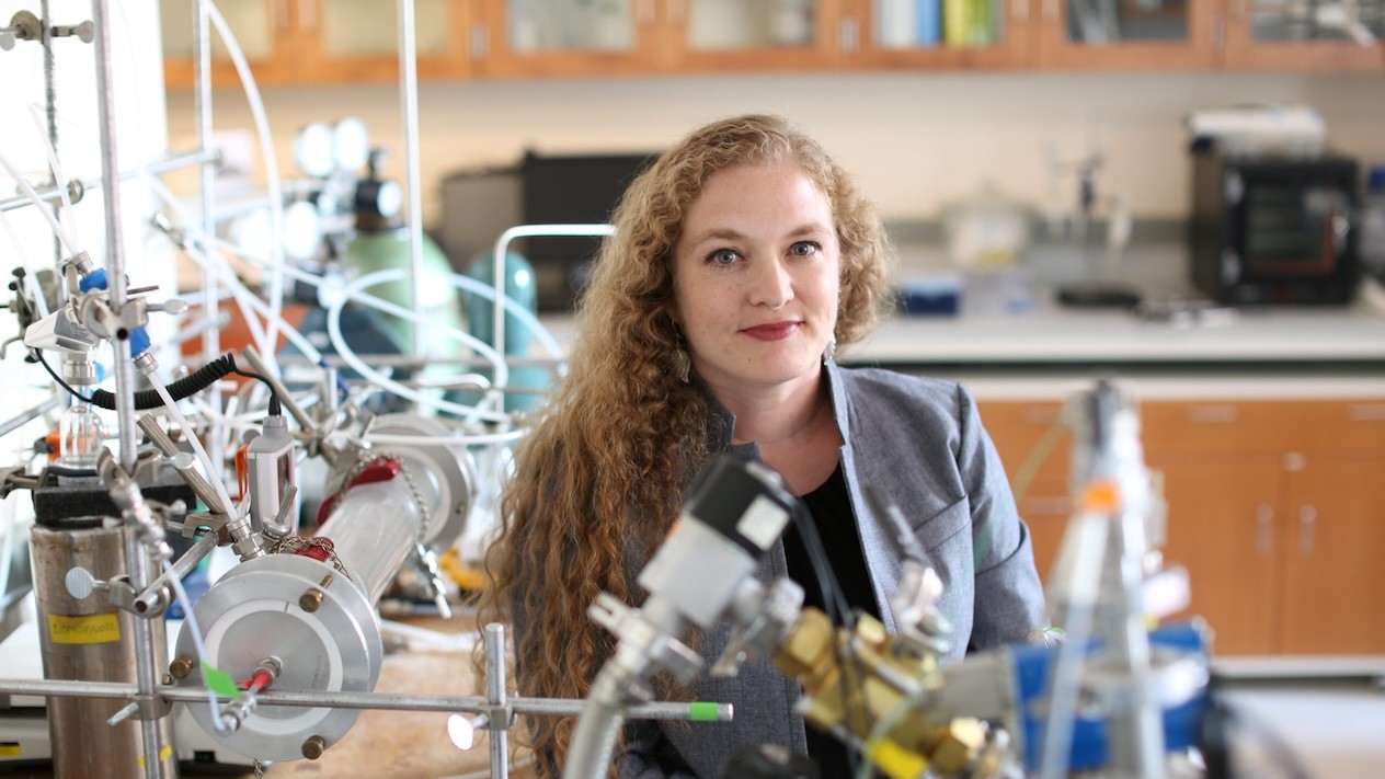 Professor V. Faye McNeil