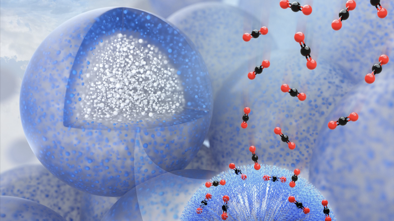 Illustration of molecules showing carbon capture