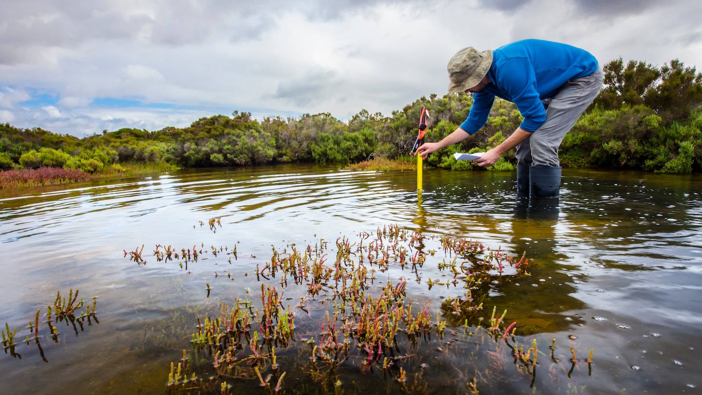Scientist measuring water depth to install water level data loggers in a coastal wetland to understand inundation period and impact on ecosystem services.