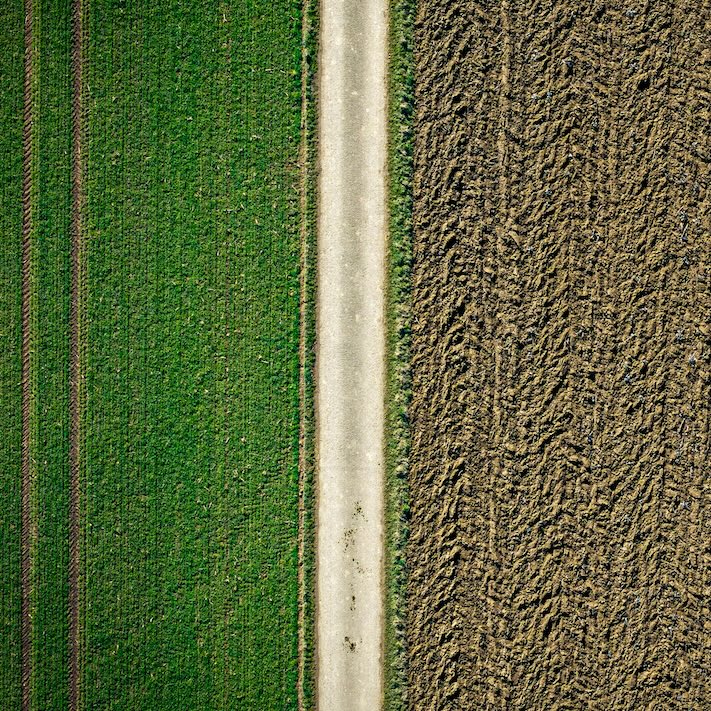 A bird's eye view of a road separating lush and barren farmland