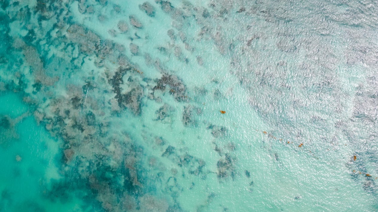 A birds-eye view of turquoise blue coastal waters