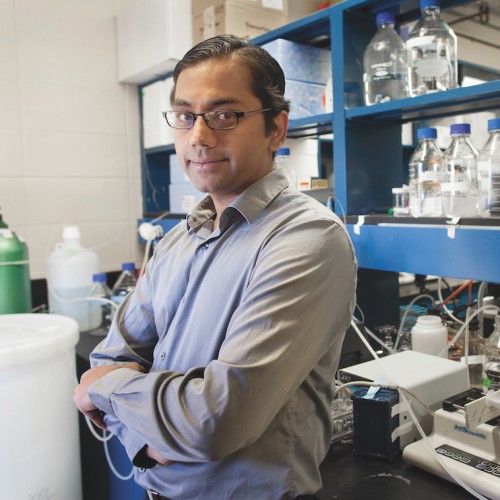 Kartik Chandran