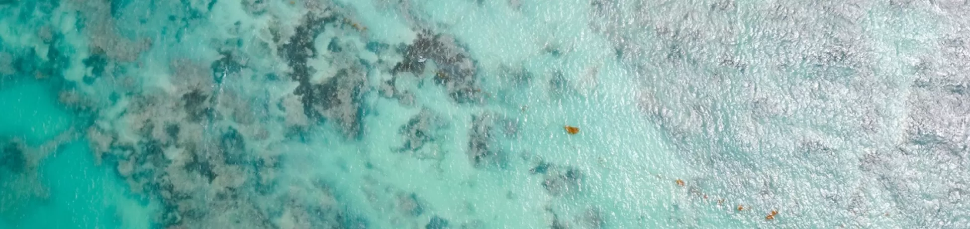 A birds-eye view of turquoise blue coastal waters