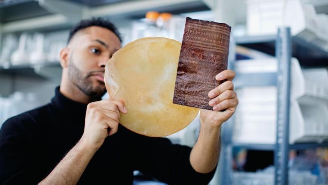 Romare Antrobus, PhD student and co-lead author of the study, examining a sample of the compostable bioleather made in Schiros’ lab at FIT, and characterized at the Lu lab. Credit: John Abbott/Columbia Engineering